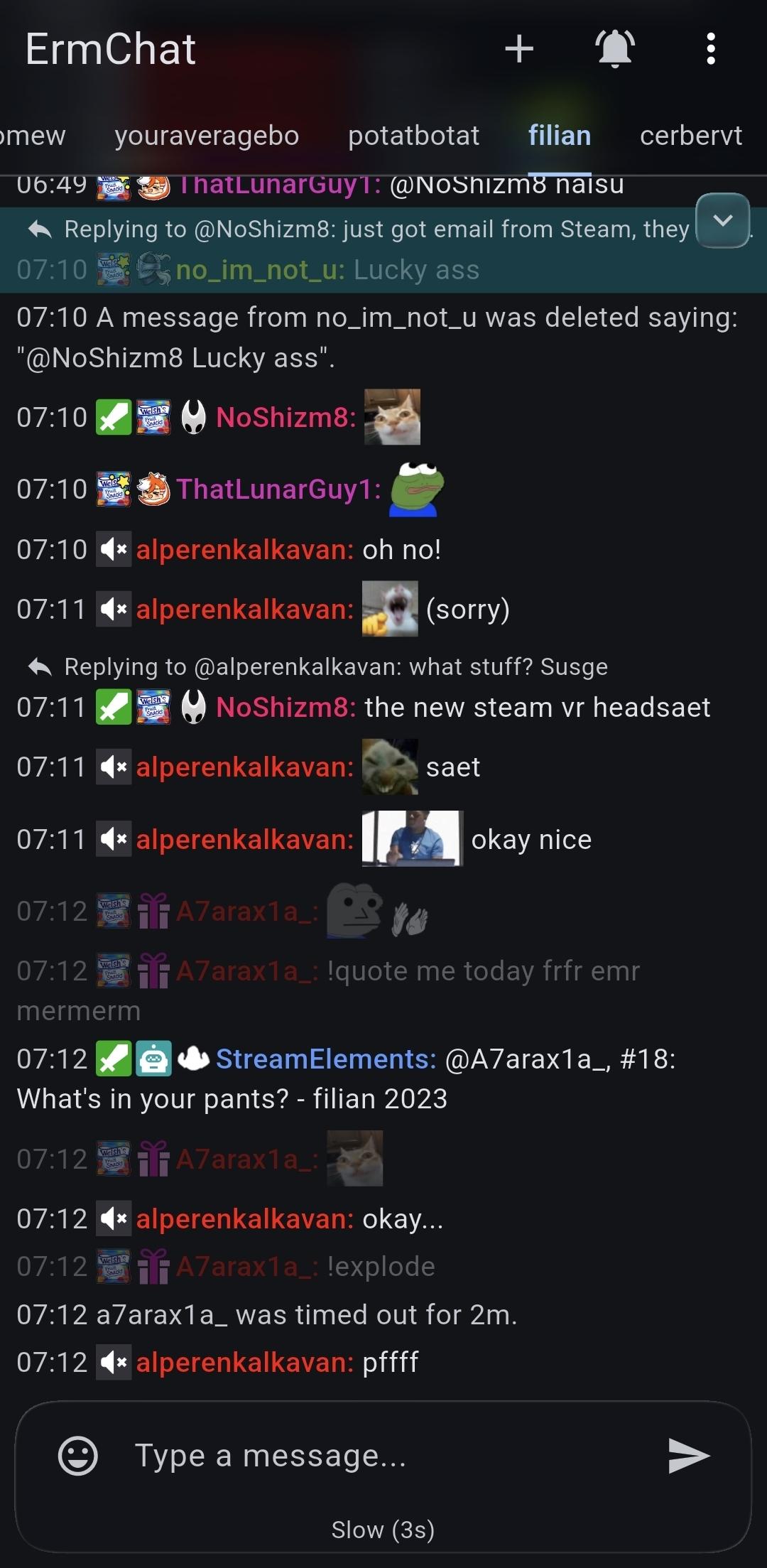 Screenshot of ErmChat