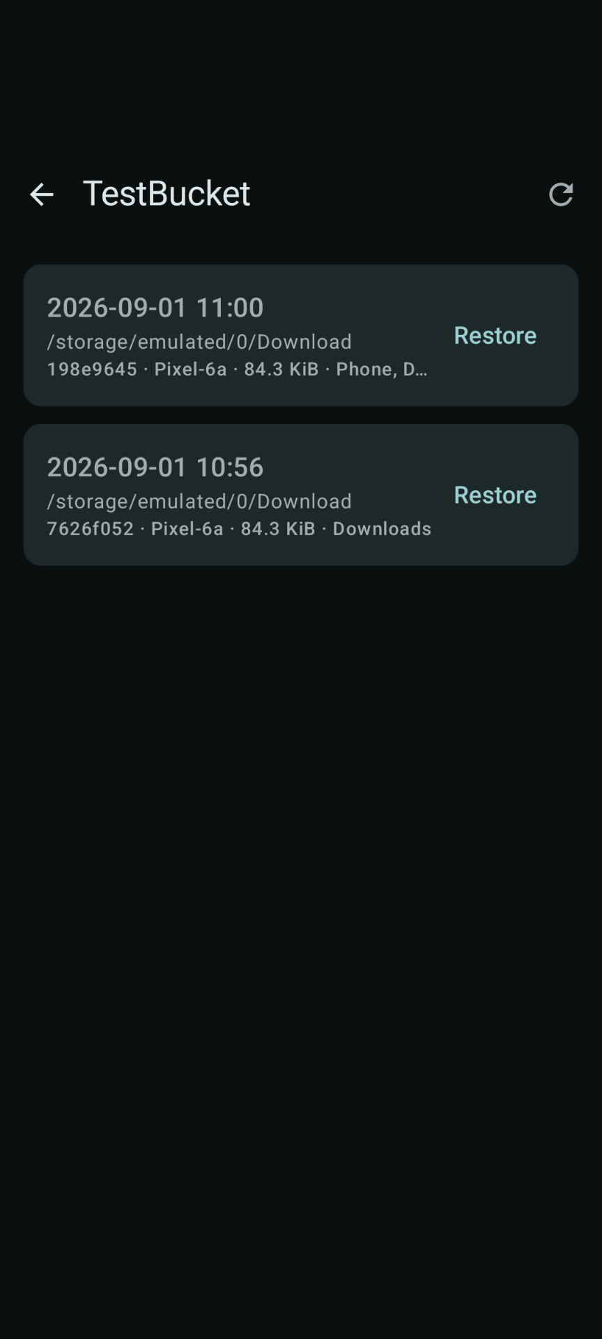 Screenshot of ResticDroid