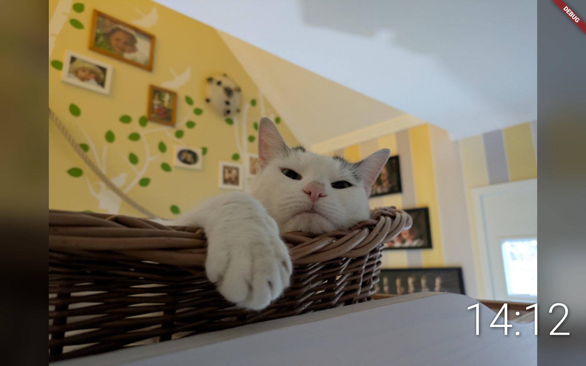 Screenshot of OpenPhotoFrame