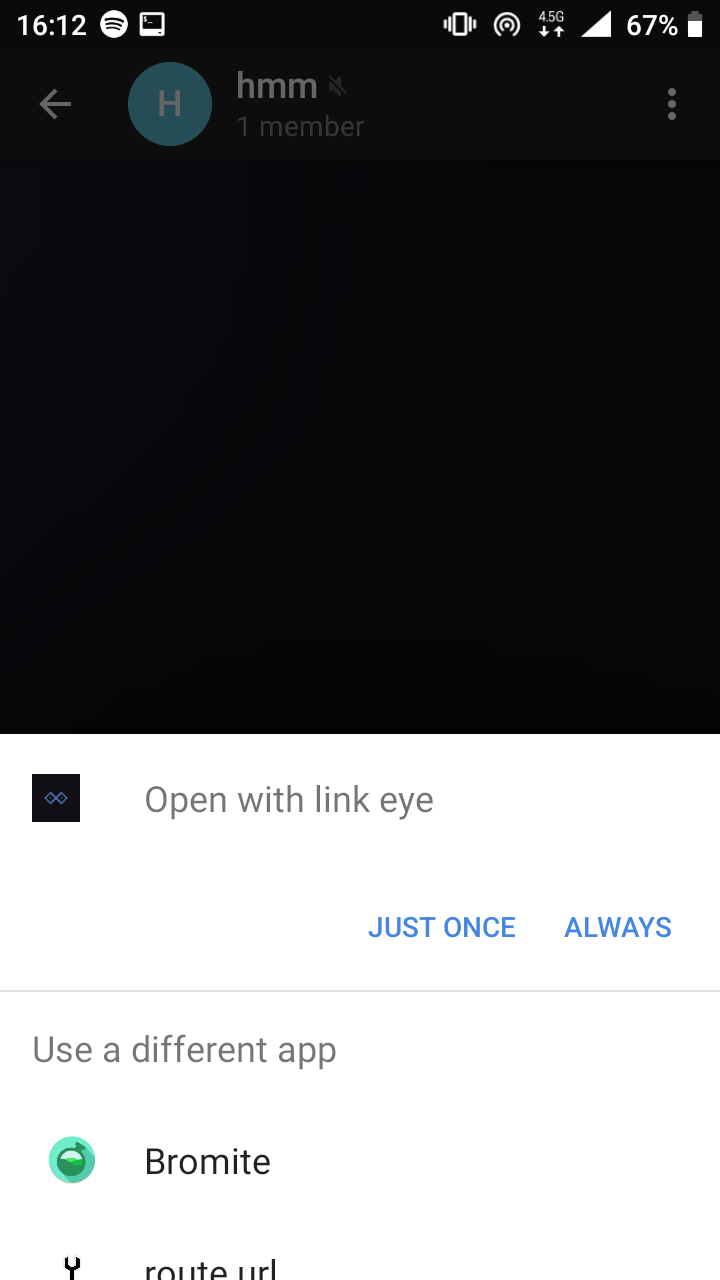 Screenshot of link eye