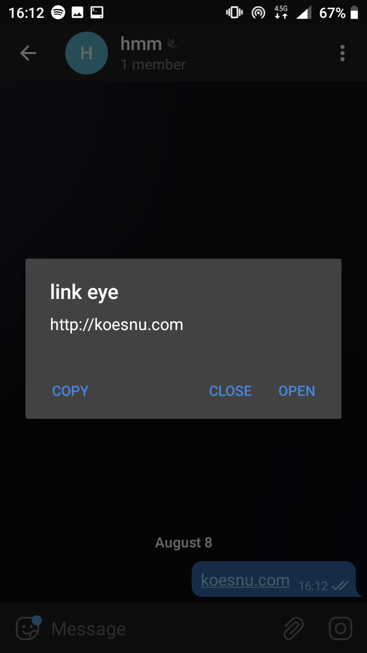 Screenshot of link eye