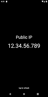 Screenshot of Public IP