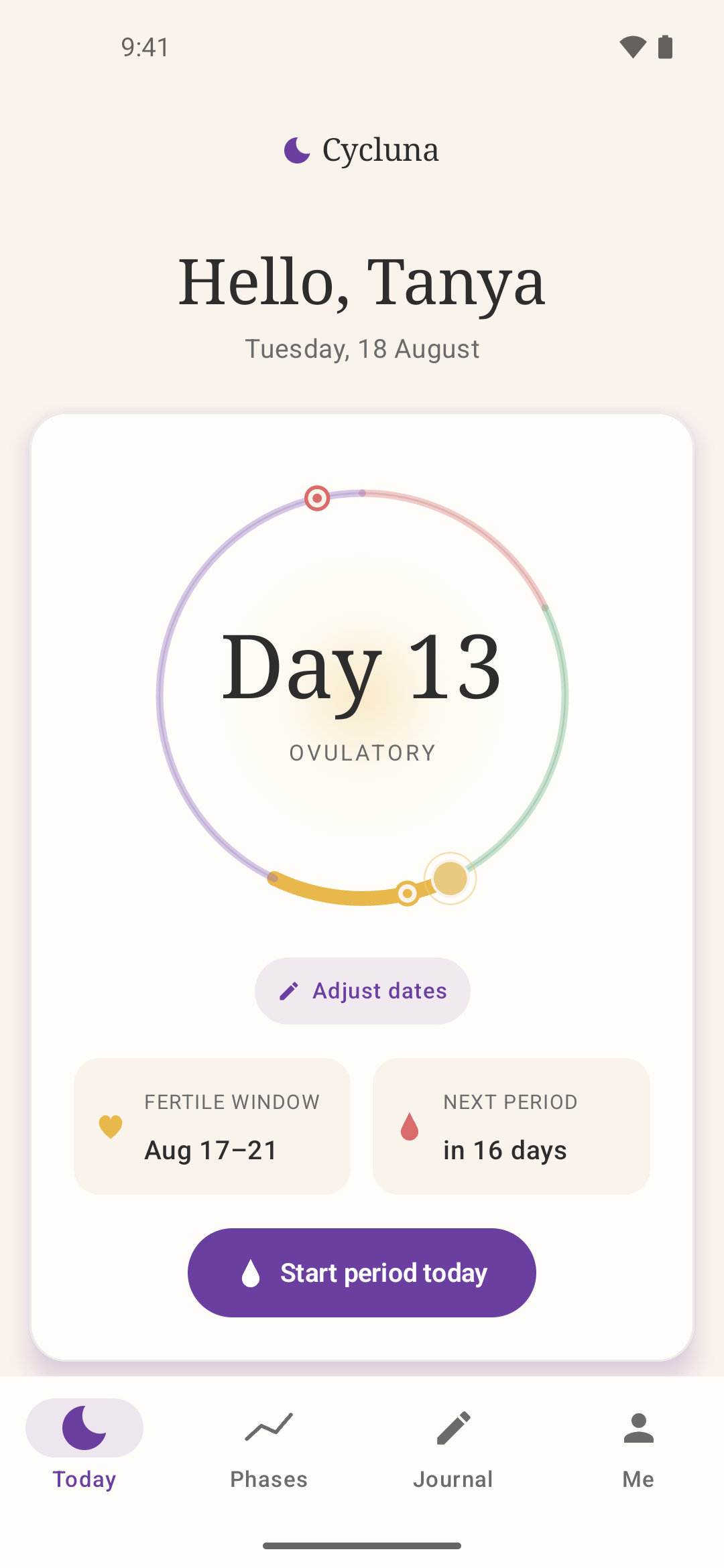Screenshot of Cycluna