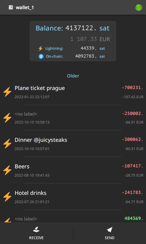 Screenshot of Electrum Bitcoin Wallet