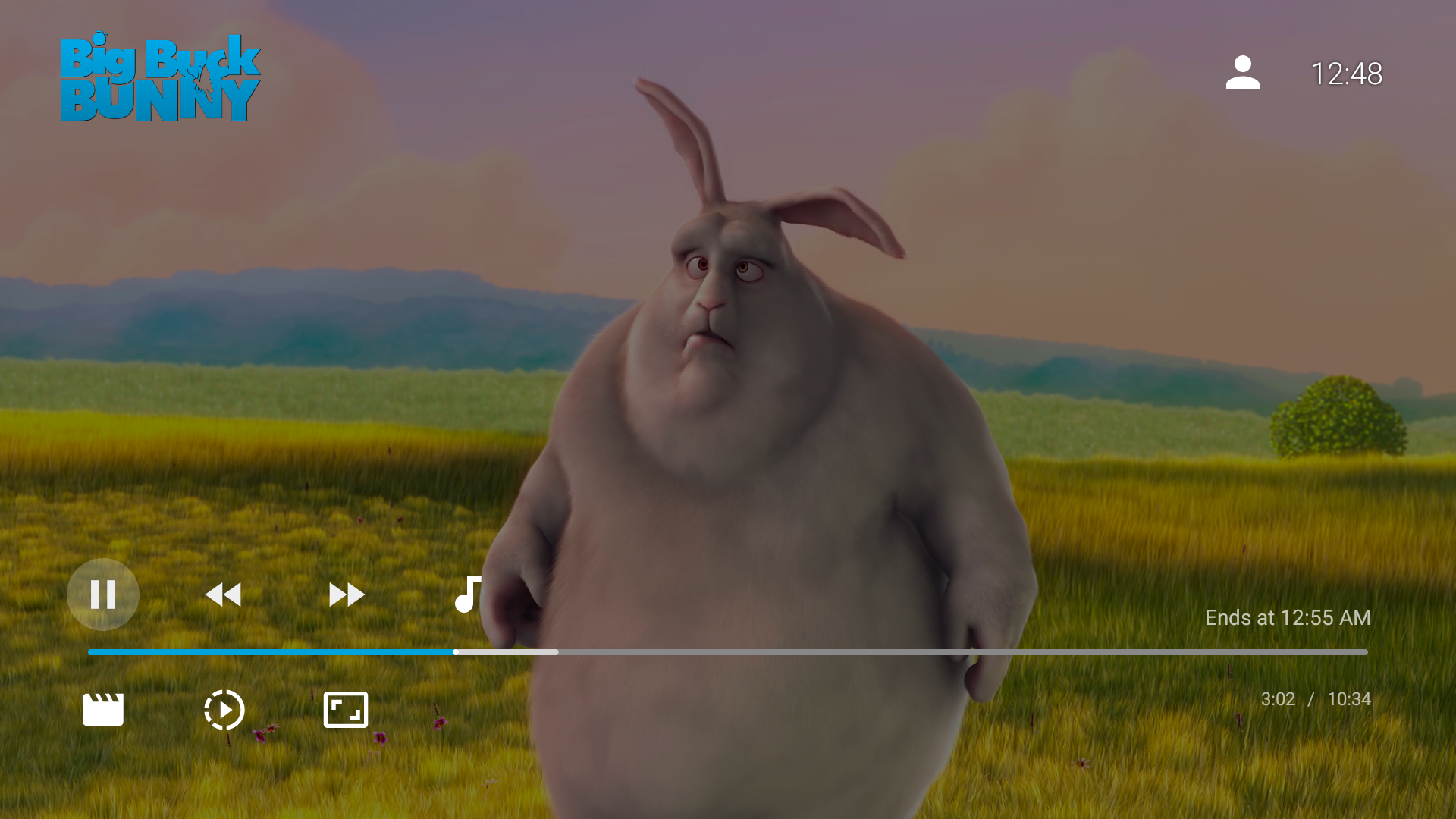 Screenshot of Jellyfin for Android TV