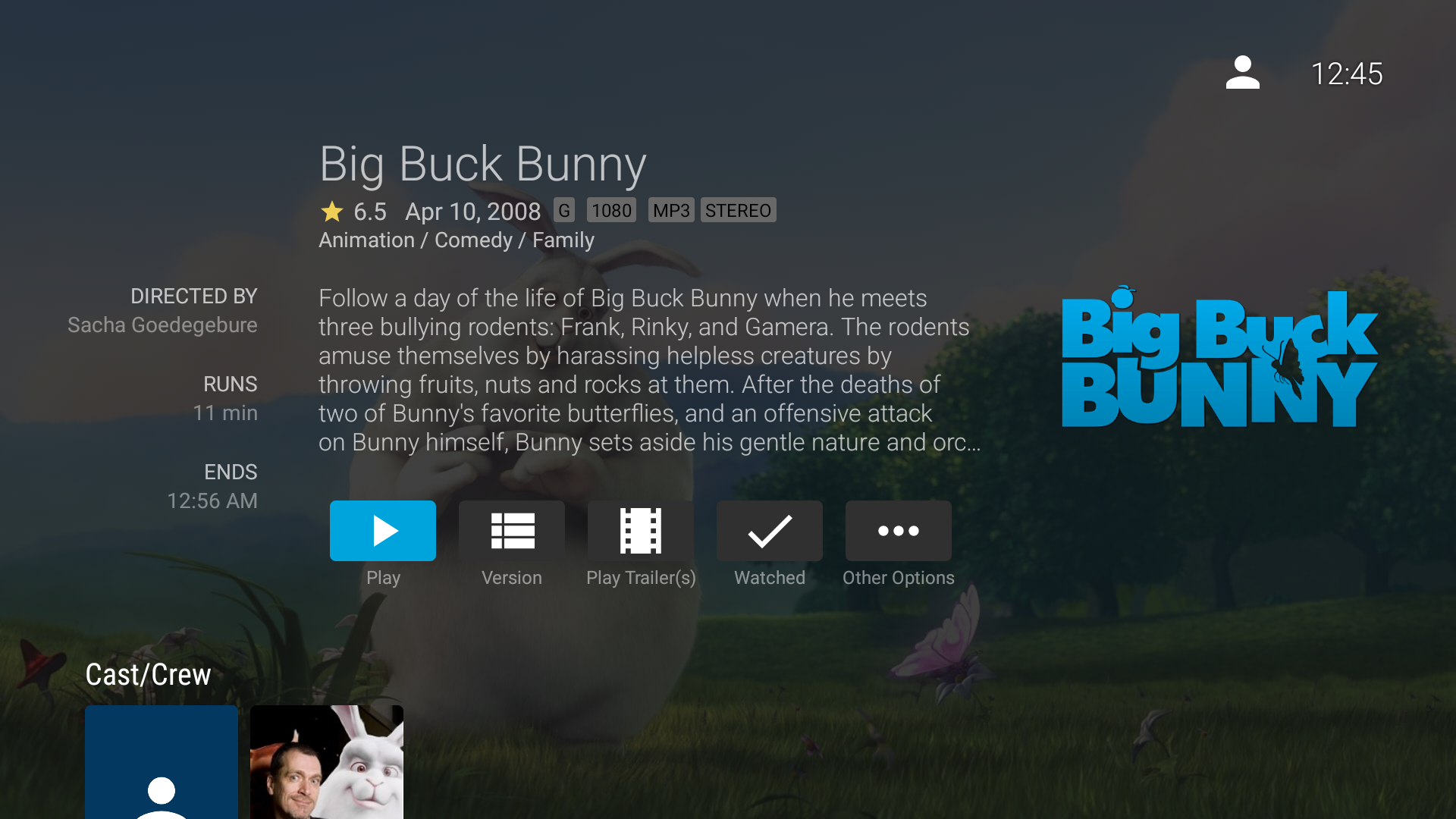 Screenshot of Jellyfin for Android TV