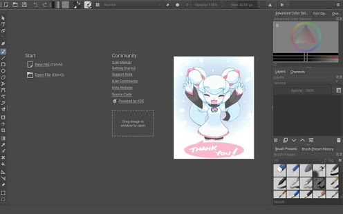 krita graphic artist program