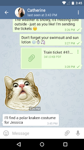 Screenshot of Telegram