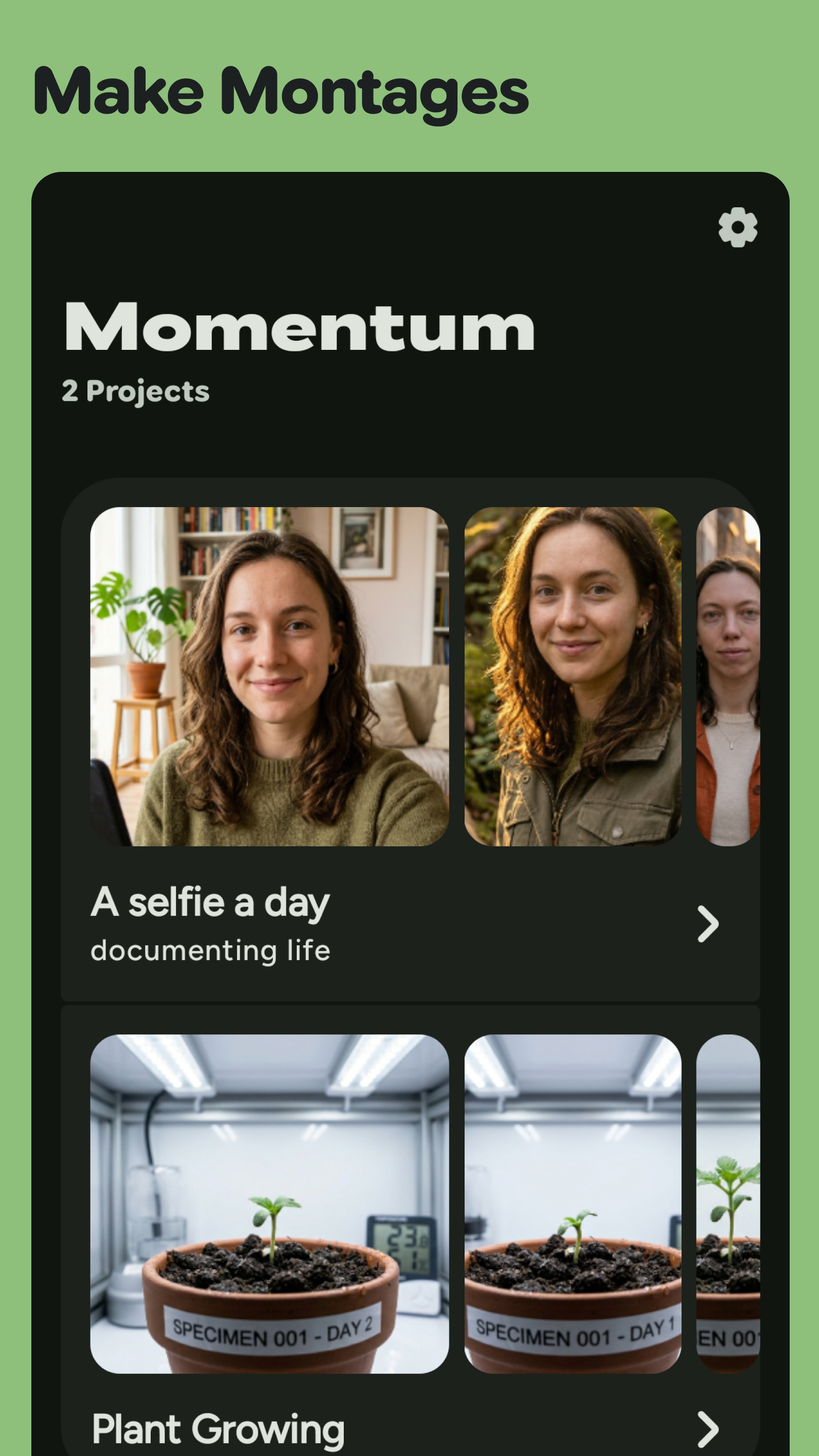 Screenshot of Momentum
