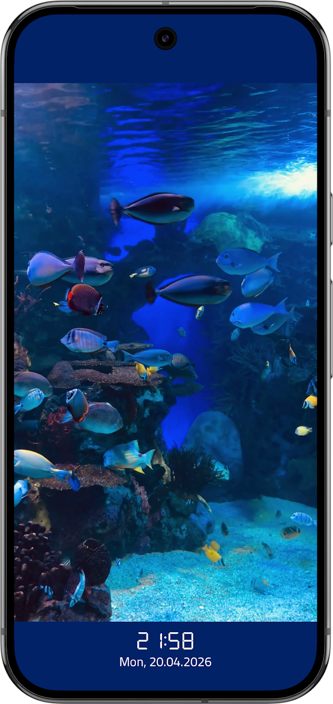Screenshot of Video Screensaver