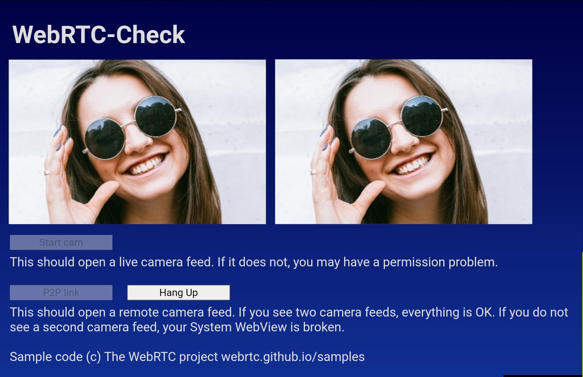 Screenshot of WebRTCCheck