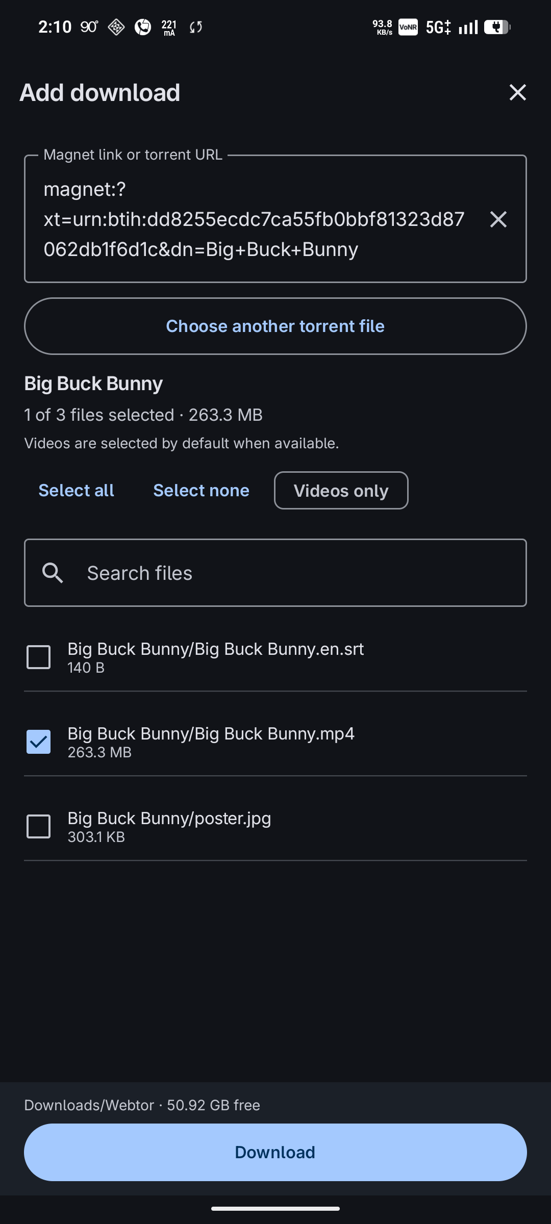 Screenshot of Torrent Player