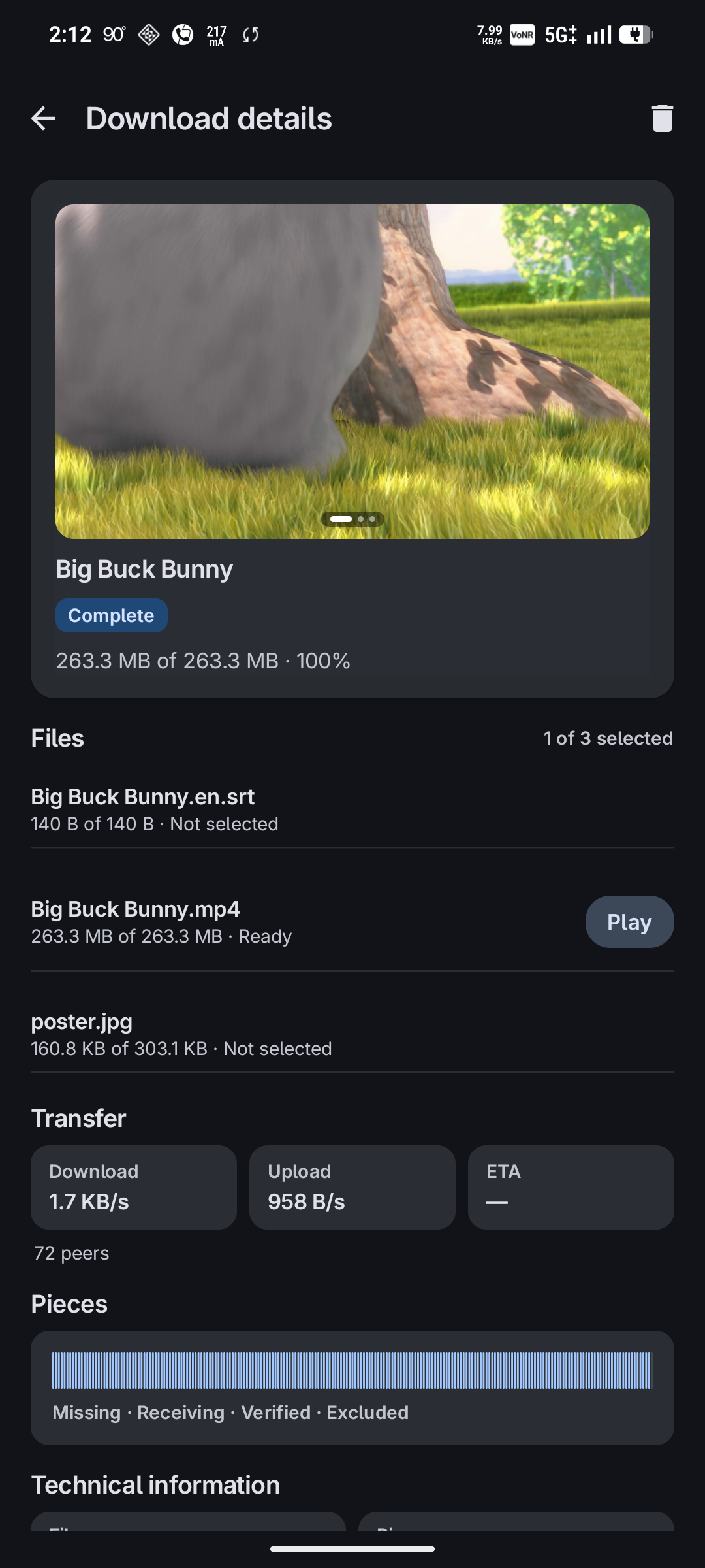Screenshot of Torrent Player